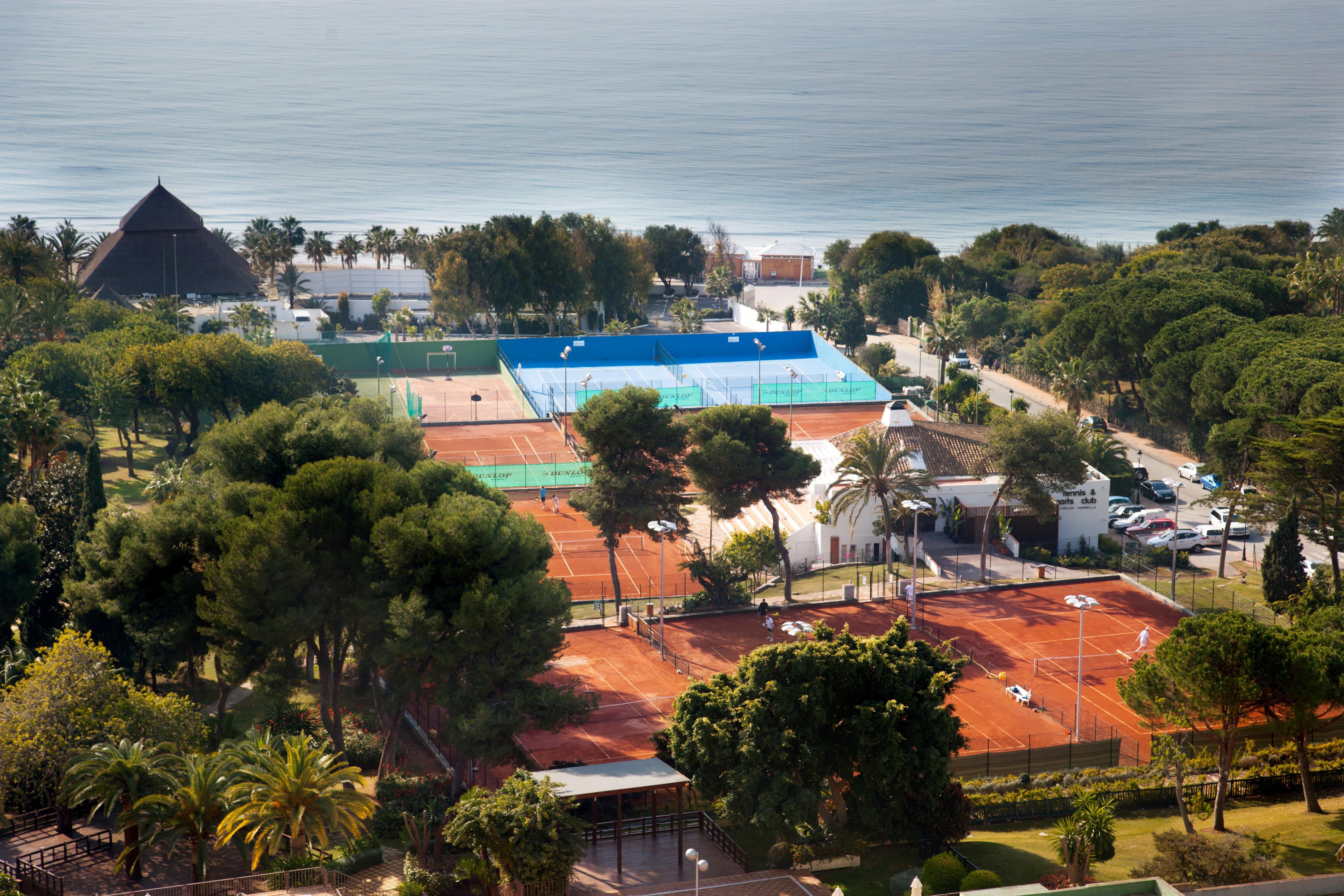 Deluxe Villas Don Carlos Resort Marbella Exterior photo
